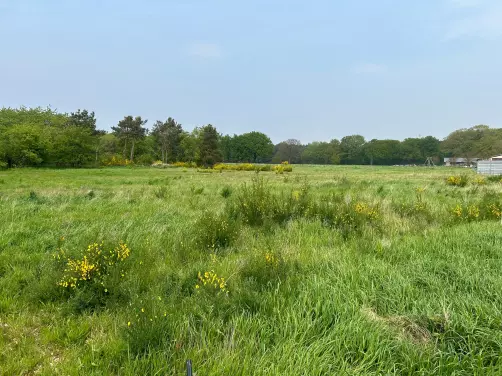 Bouwgrond, Lochstraat Hechtel-Eksel, open bebouwing